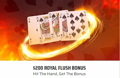 Ignition Poker image 3